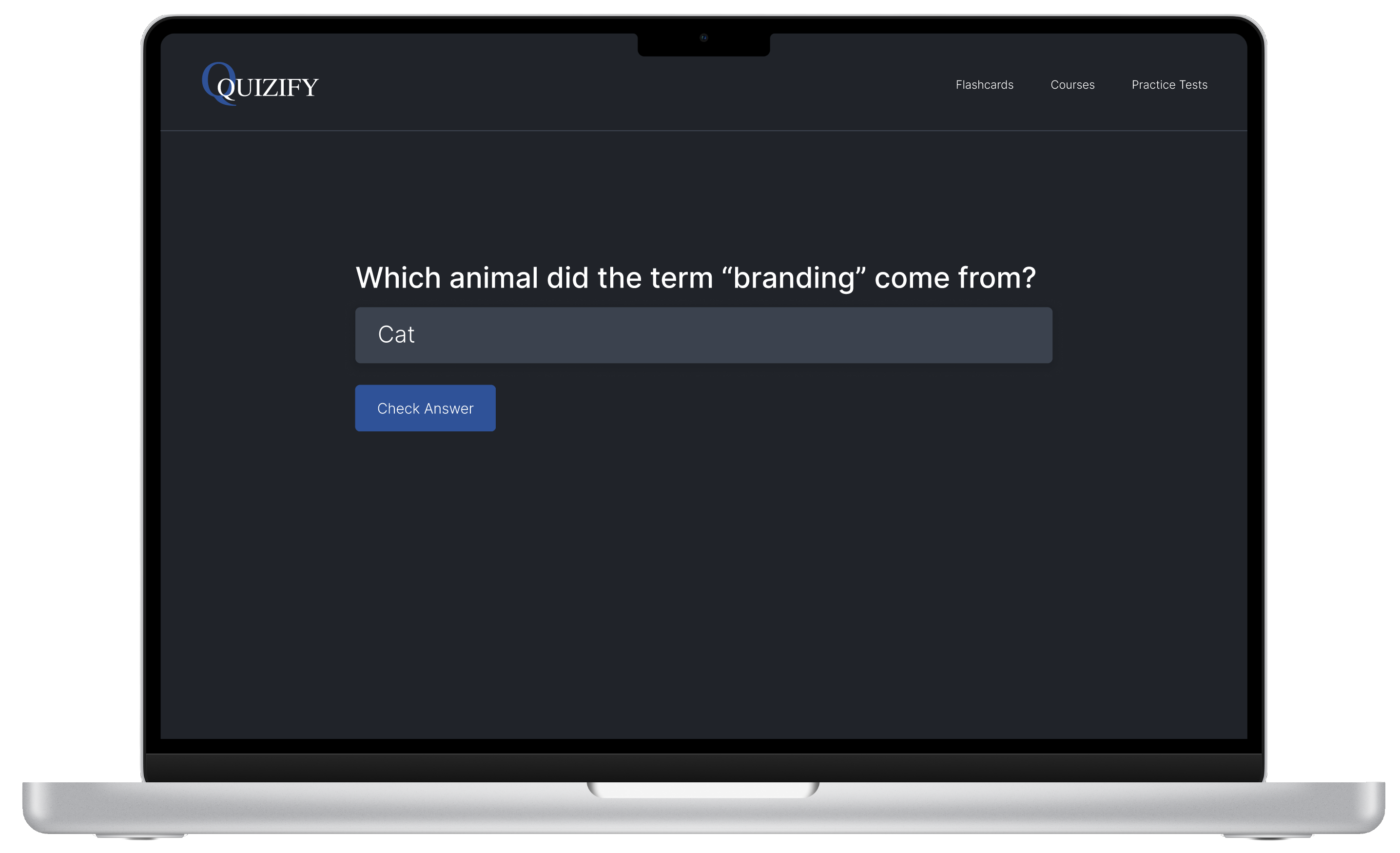 Flashcard with an answer entered before checking it