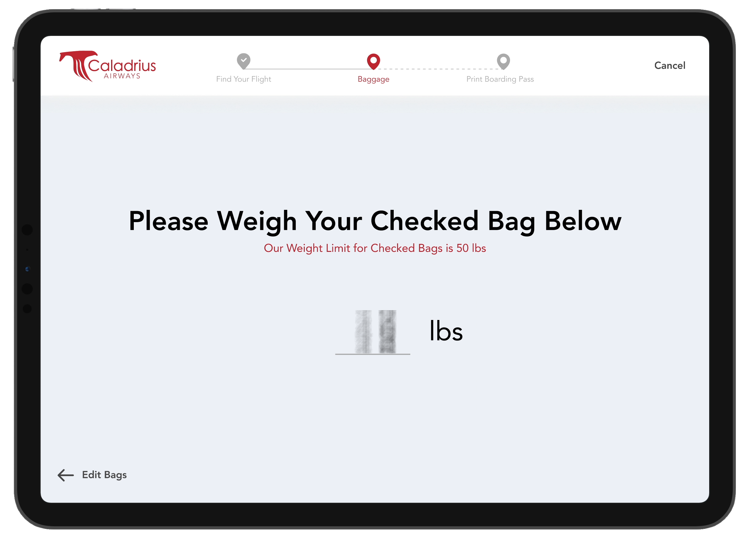 Weigh baggage screen